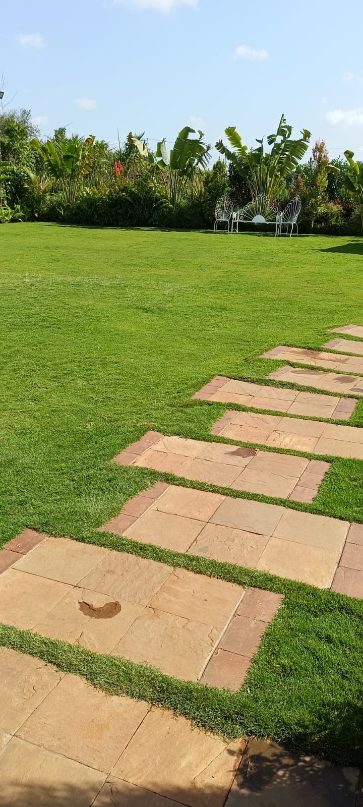 Stone stepping-stone pathway crossing the lawn towards garden seating and tropical planting