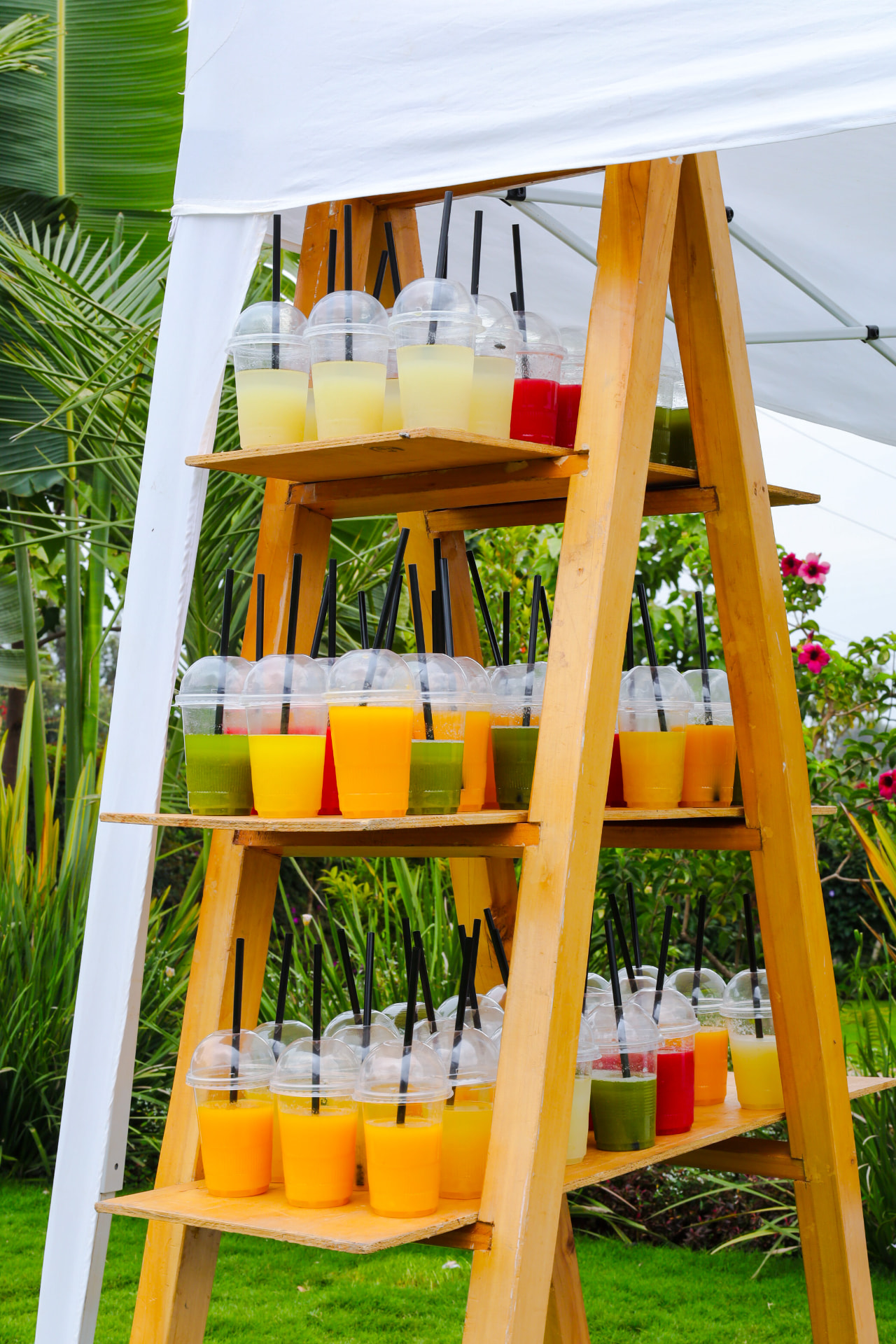 Colourful fresh drinks displayed on a wooden ladder stand in the gardens