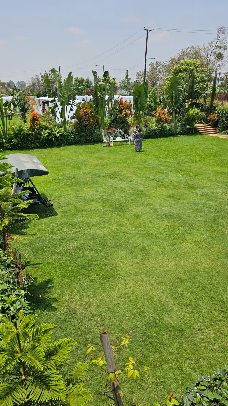 Wide view of the manicured lawn with a shaded swing seat, garden bench and white canopies beyond