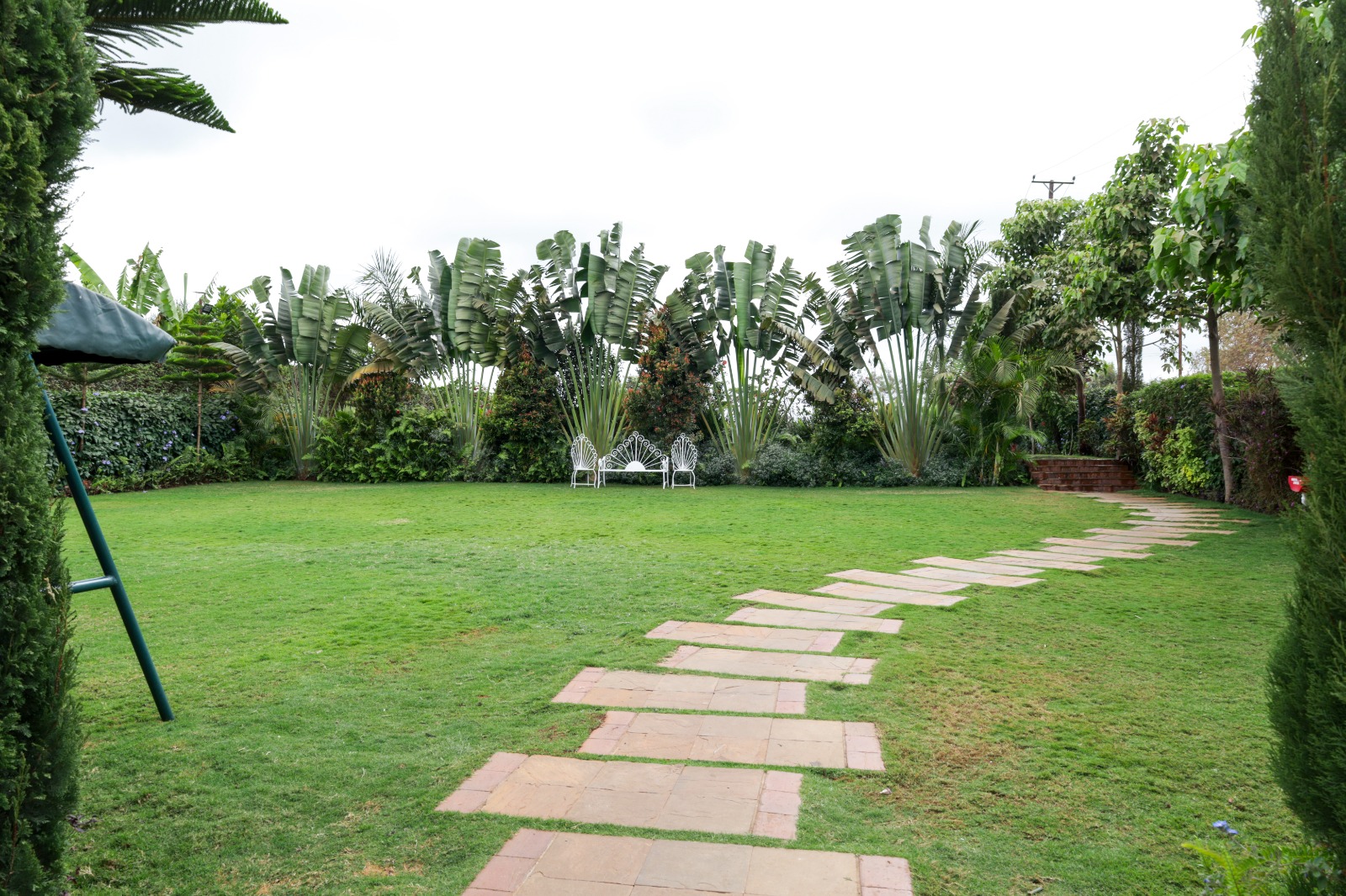 Stone stepping-stone path crossing the lawn towards white garden seating and tall traveller palms